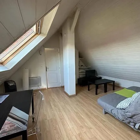 Apartamento Duplex F2 - Proche Gare Tgv Mulhouse