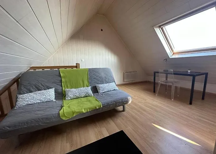 Apartman Duplex F2 - Proche Gare Tgv Mulhouse